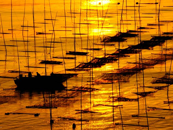 5 Days Xiapu Photography Tour